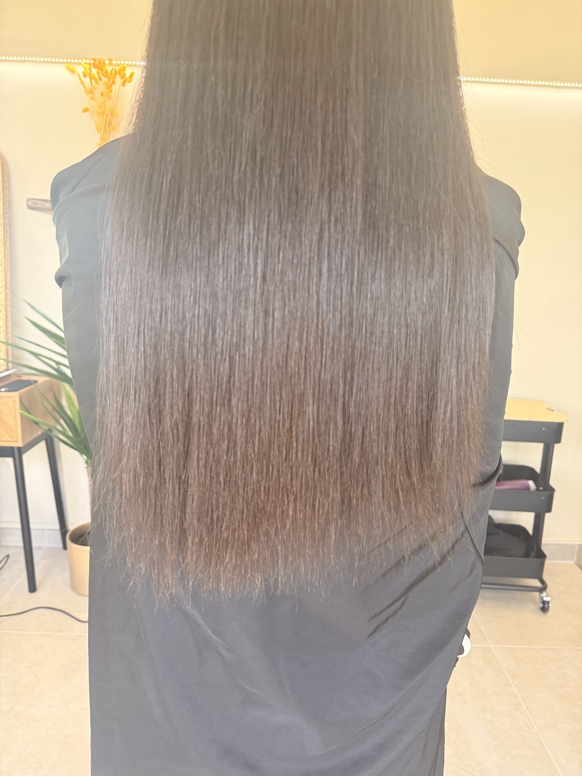 Long straight gray and silver hair shown from behind