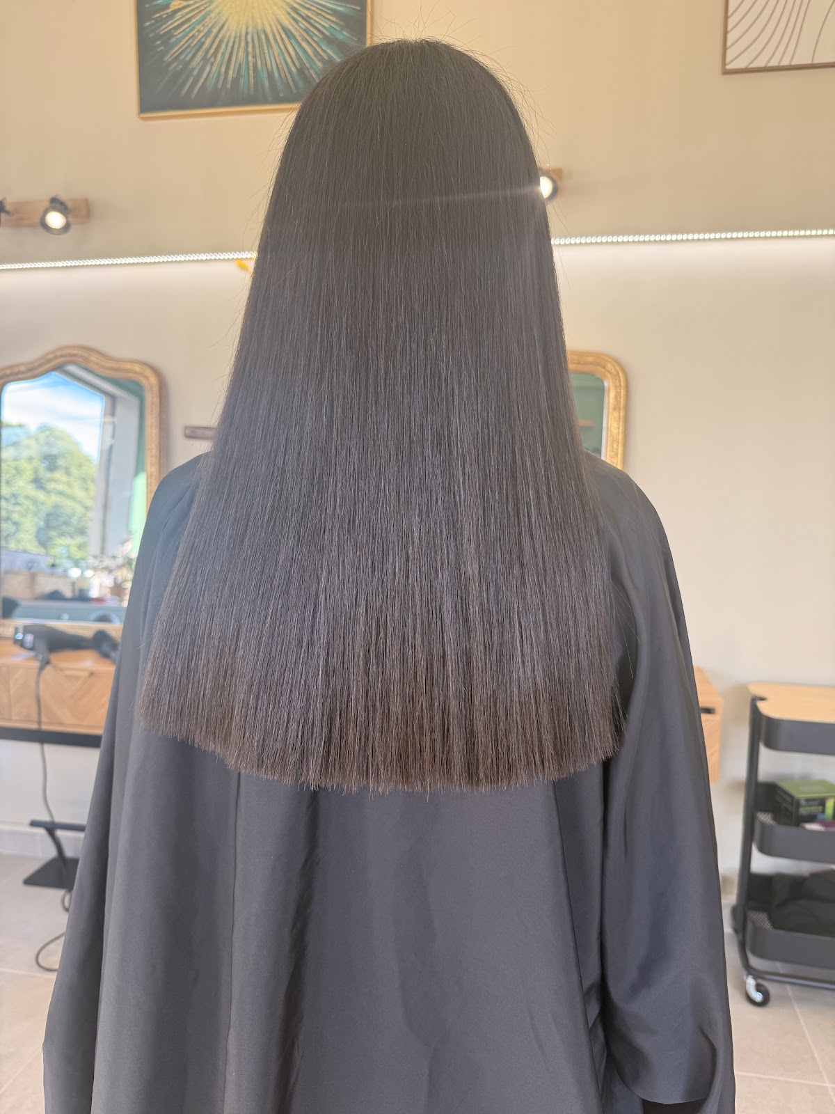 Long straight dark charcoal hair, styled result shown from behind