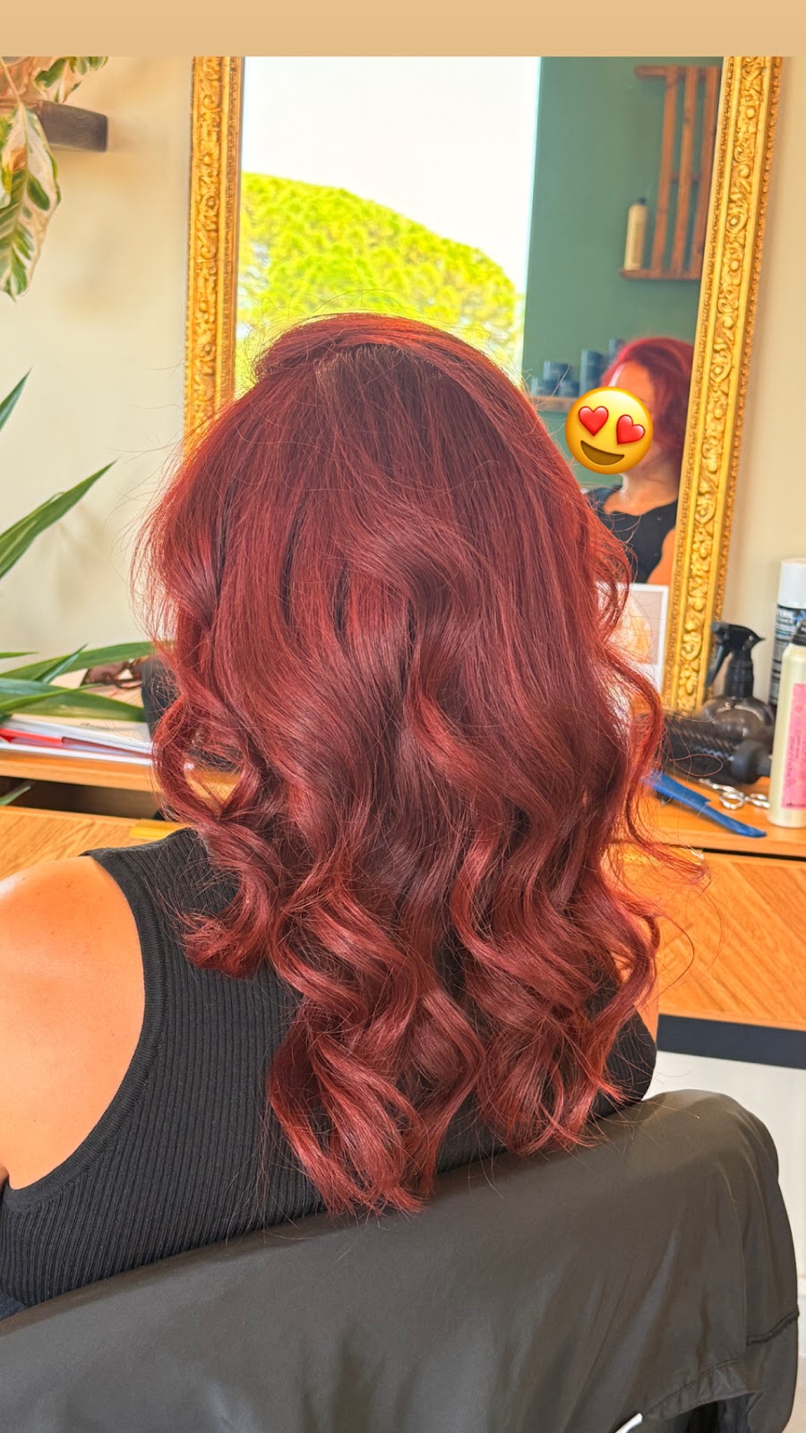 Long wavy red and burgundy hair shown from behind